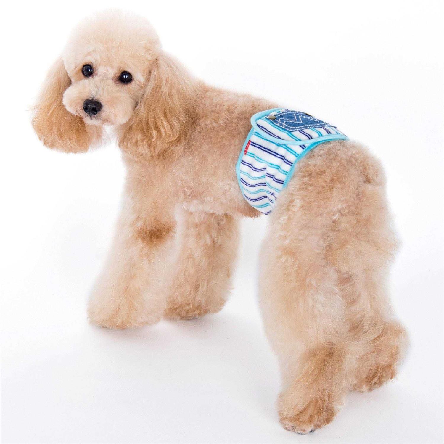 Alfie Pet Gaki Belly Band - Healthber
