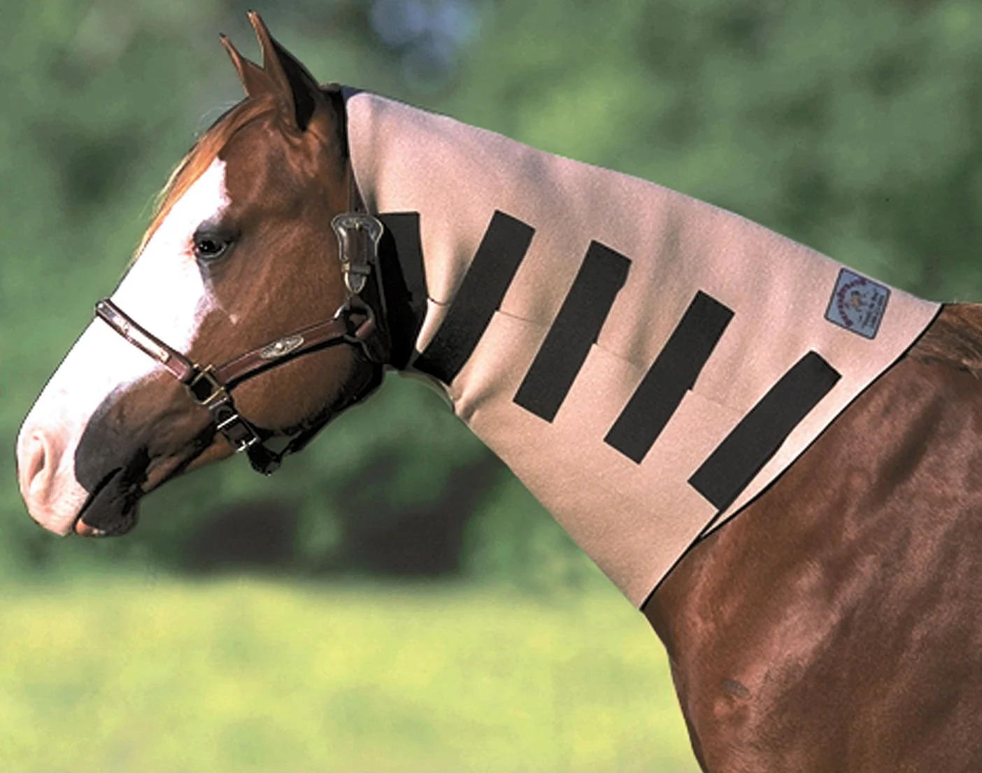SuperSweats - Healthber