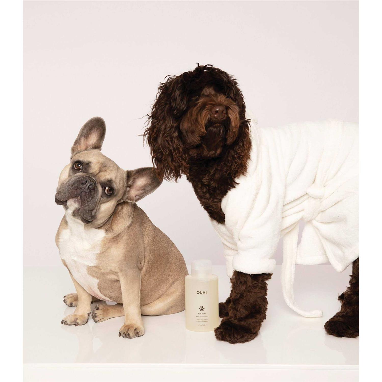 OUAI Fur Bébé Pet Shampoo - Healthber