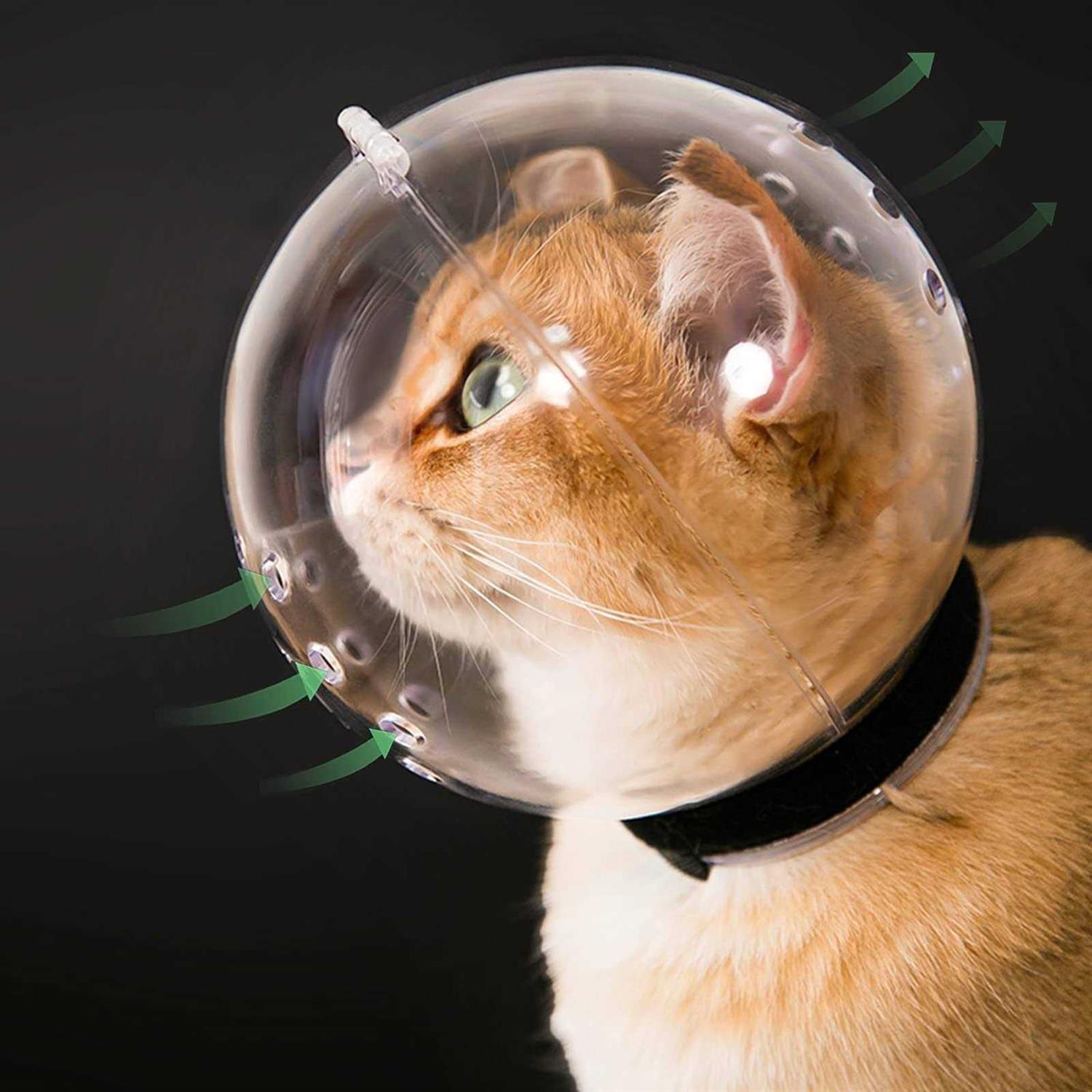 Hoqqf Cat Muzzle Cat Transparent Muzzle M Size Breathable Cat Hood - Healthber