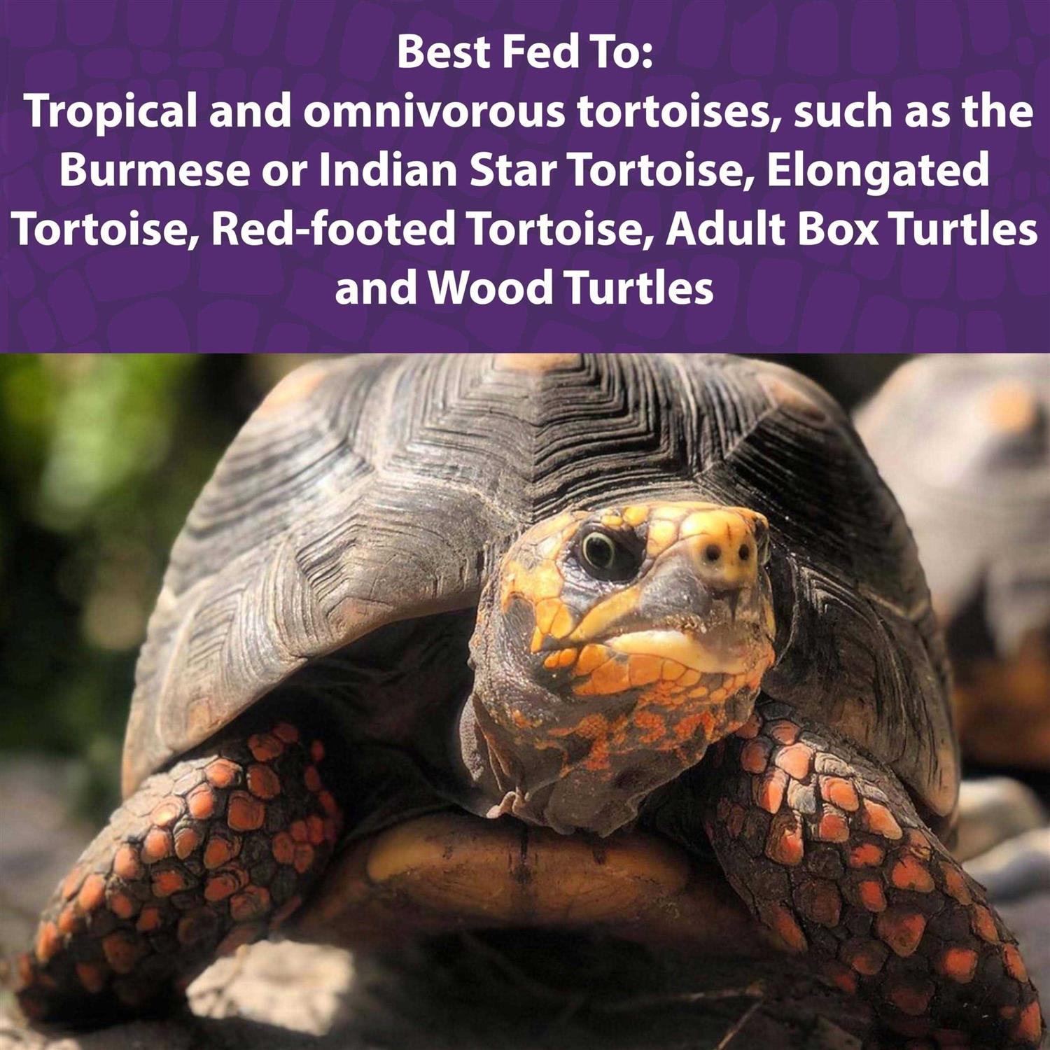 Mazuri Tortoise Diet - Healthber