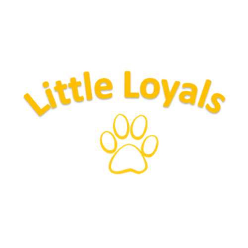 Little Loyals Premium Olive Wood Dog Chew - Healthber