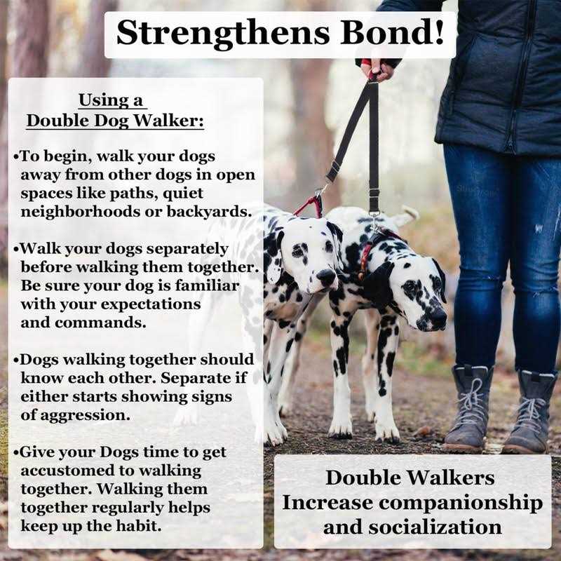 SunGrow Double Dog Walker Leash, 16-24 Inches in Length, Head Tilt Adjustable, Tin Alloy Snaps, Suitable for Dogs and Puppies - Healthber