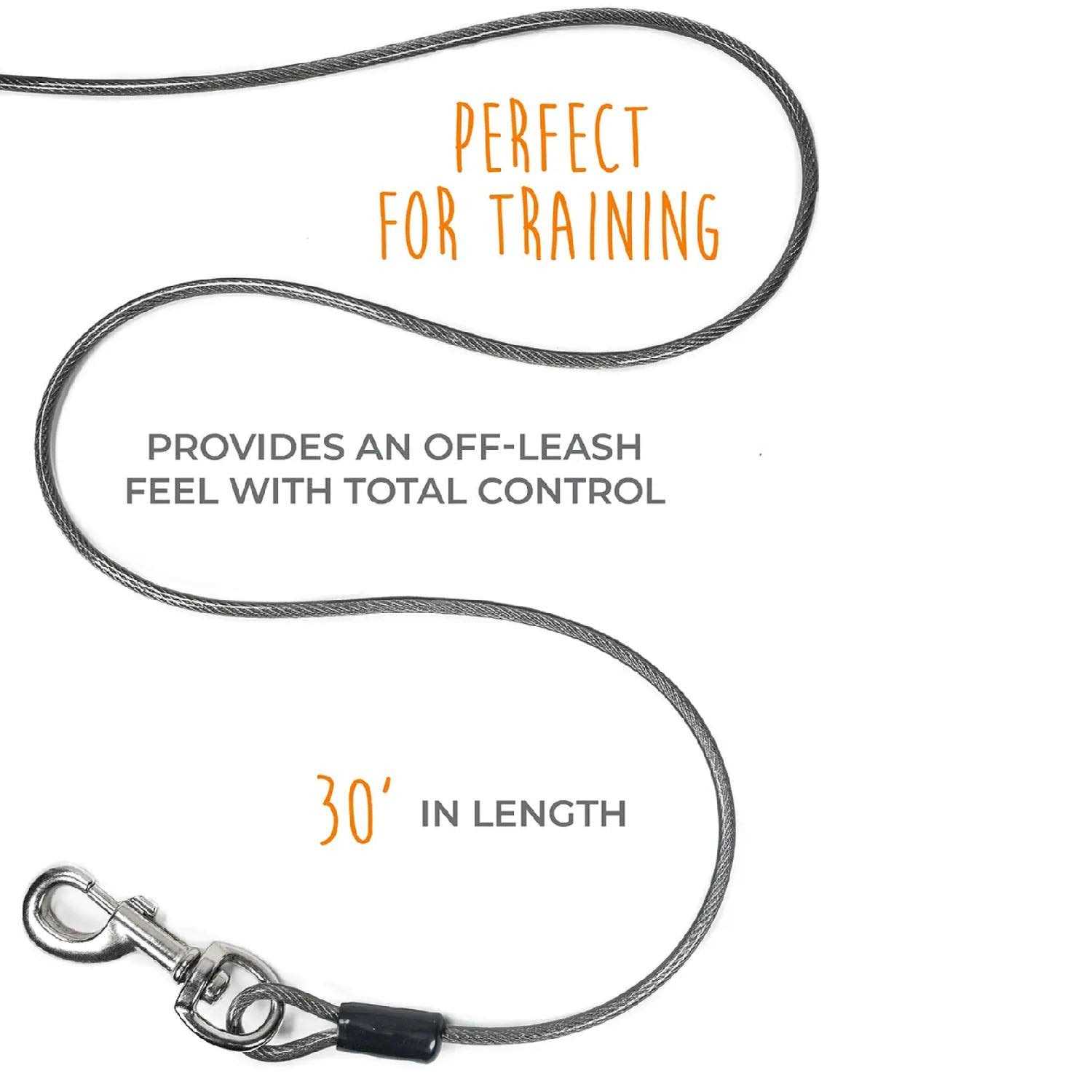 Mighty Paw Dog Tie Out Cable - Healthber