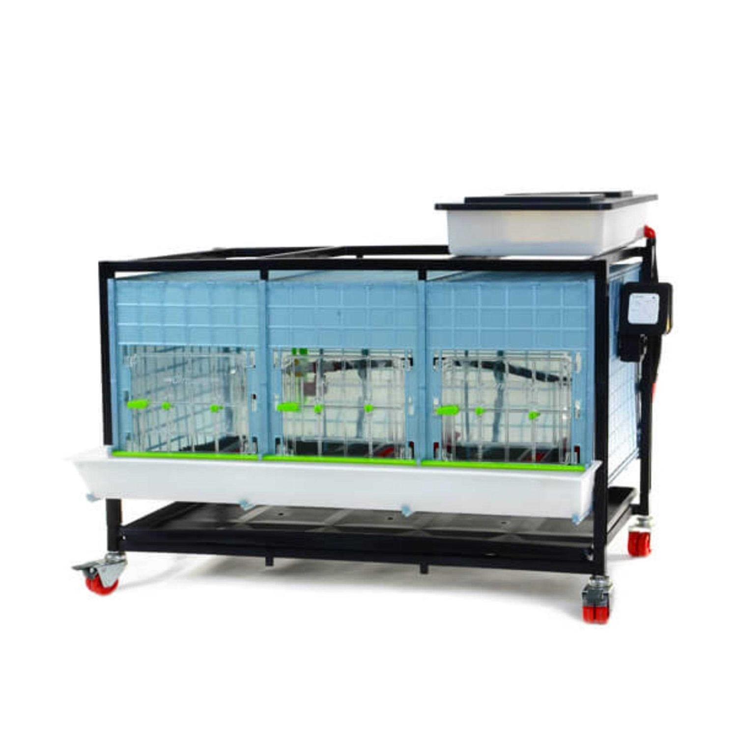 Hatching Time Chick Brooder 1 Layer H - Healthber