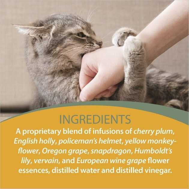Botanical Animal Flower Essences Botanical Animal Flower Essence Devil Be Gone - Healthber