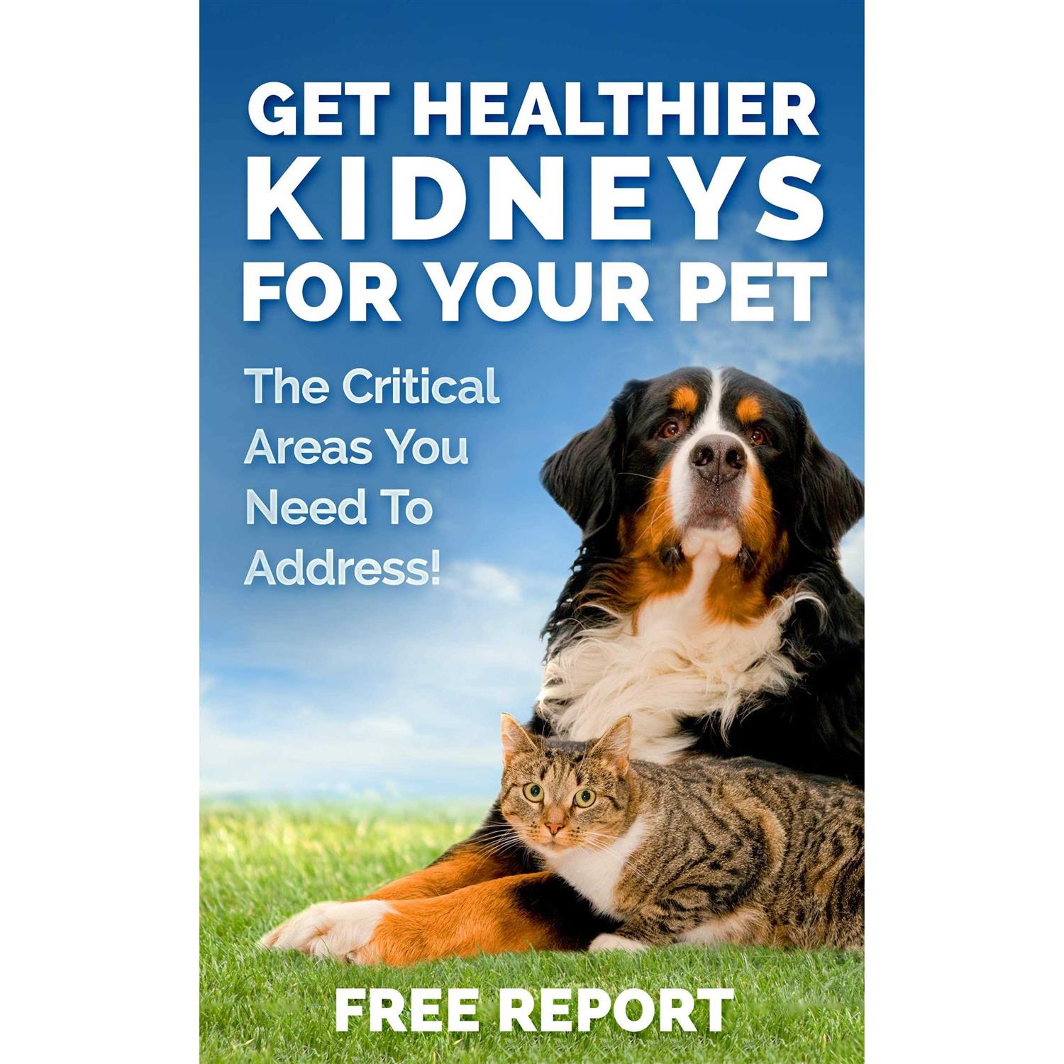 Dog and Cat Kidney Support Canine Feline Renal Health Support Supplement for Normal Kidney Function - Healthber