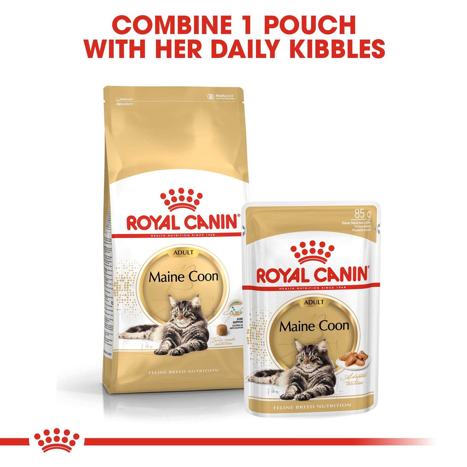 Royal Canin Feline Breed Nutrition Maine Coon Dry Cat Food - Healthber