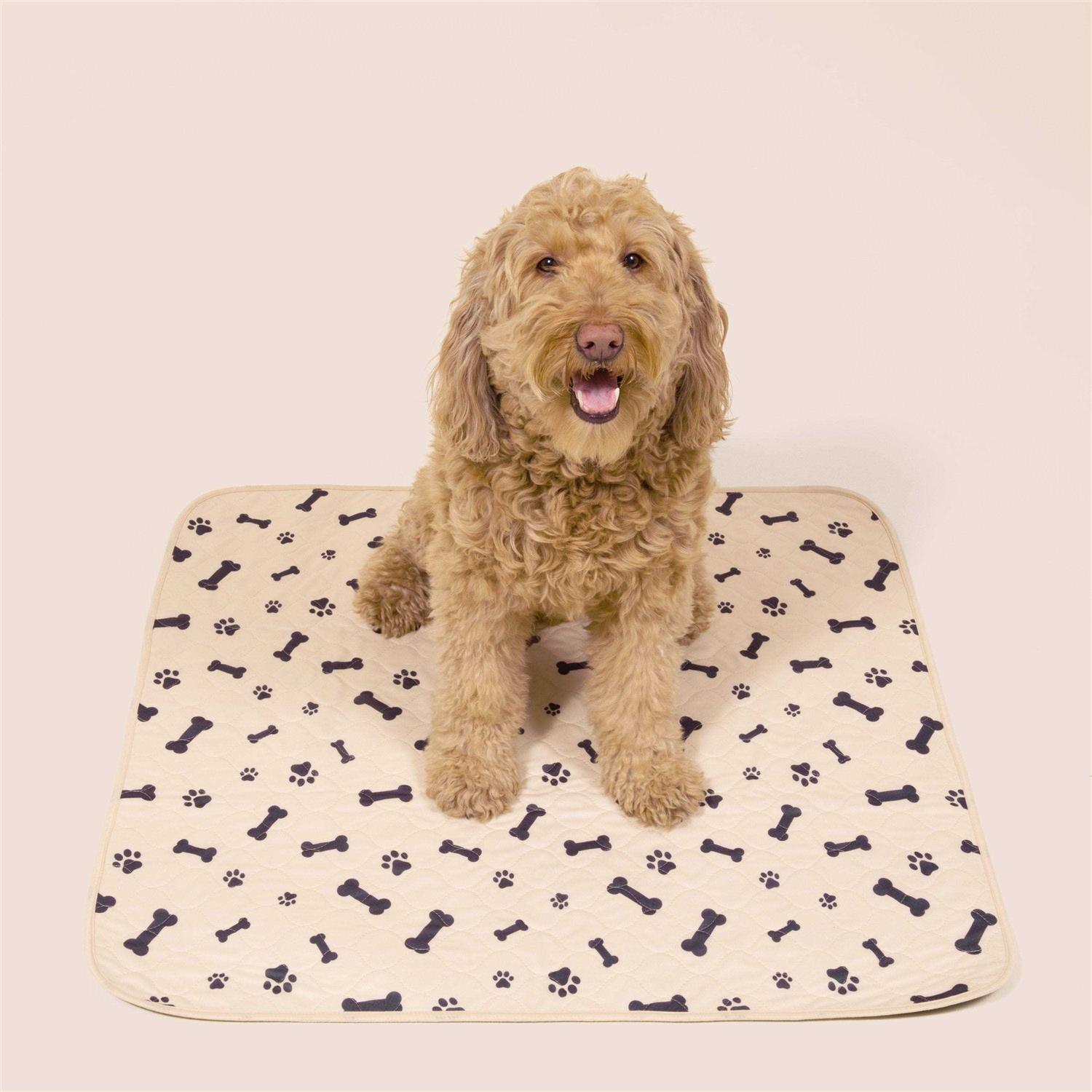 Potty Buddy Reusable Pet Pad - Healthber