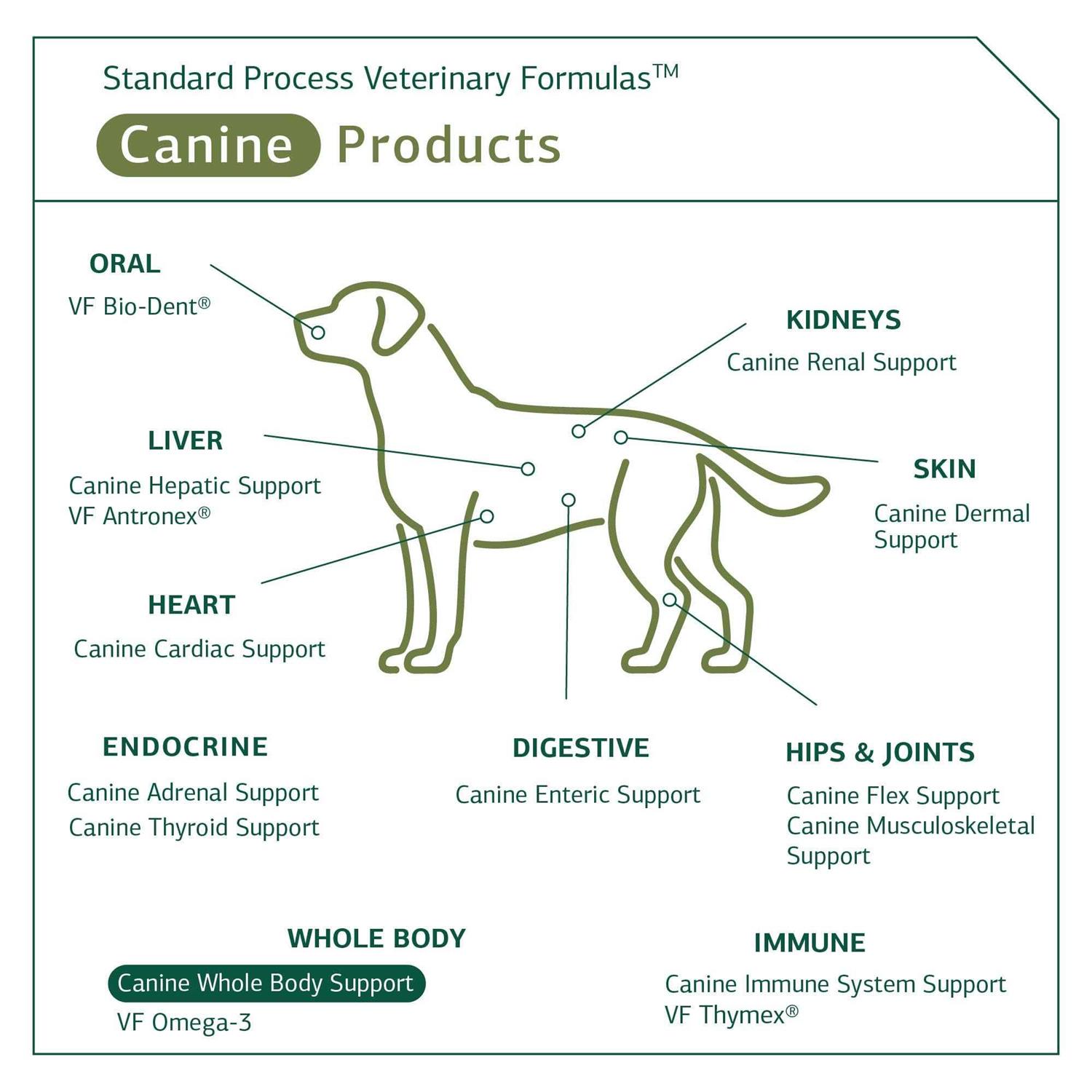 Standard Process Canine Whole Body Support - Healthber