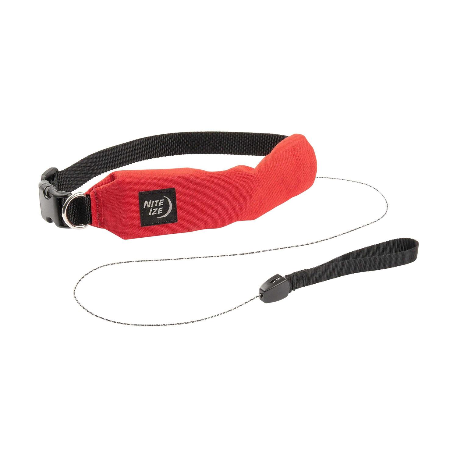 Nite Ize RadDog All-In-One Collar and Leash - Healthber