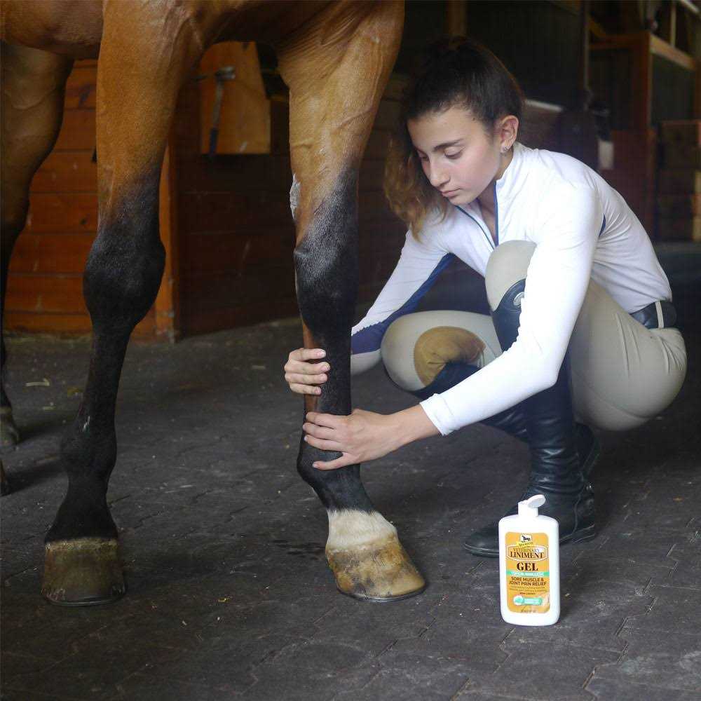 Absorbine Veterinary Liniment Gel - Healthber