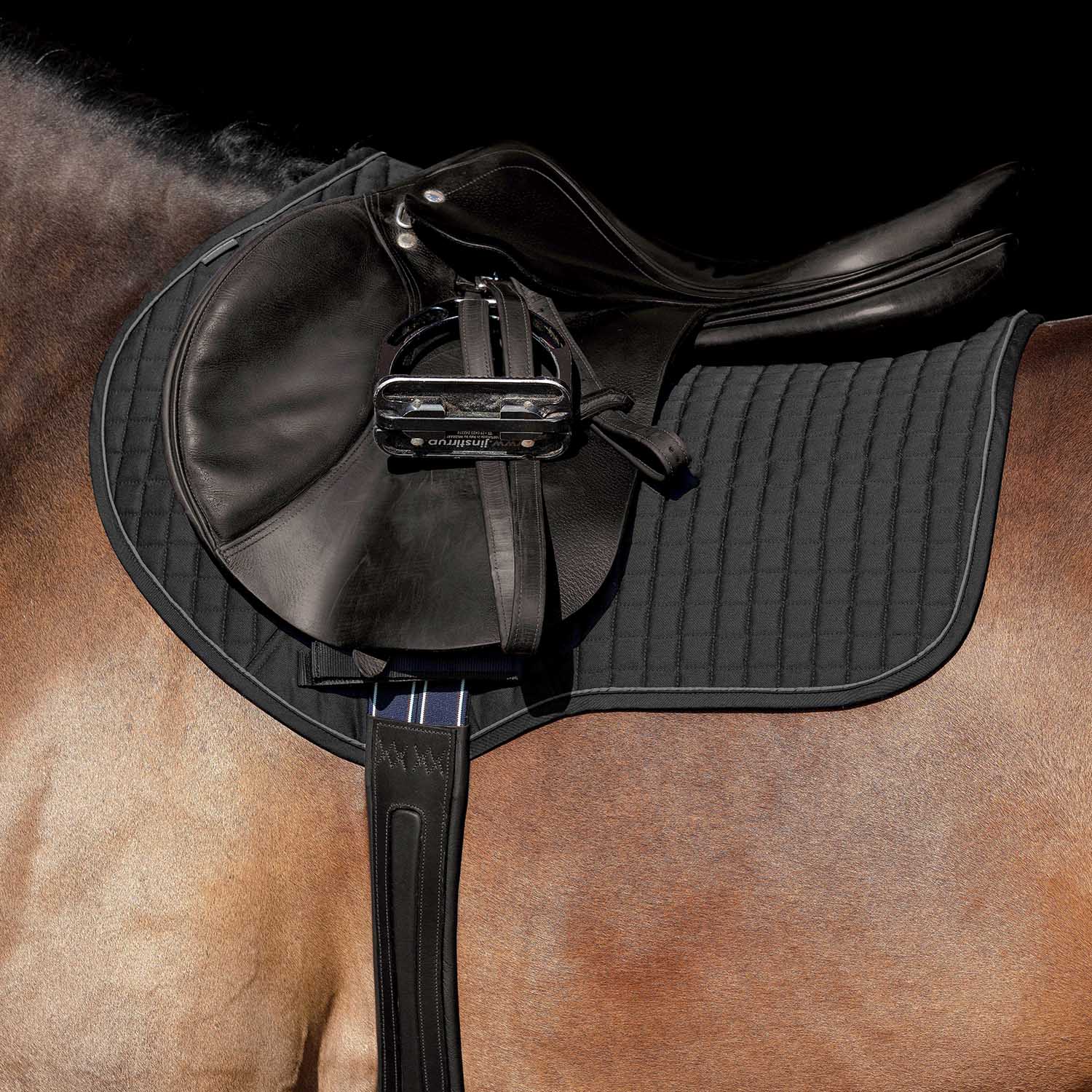 Horseware Everyday Show Jumping Saddle Pad - Healthber
