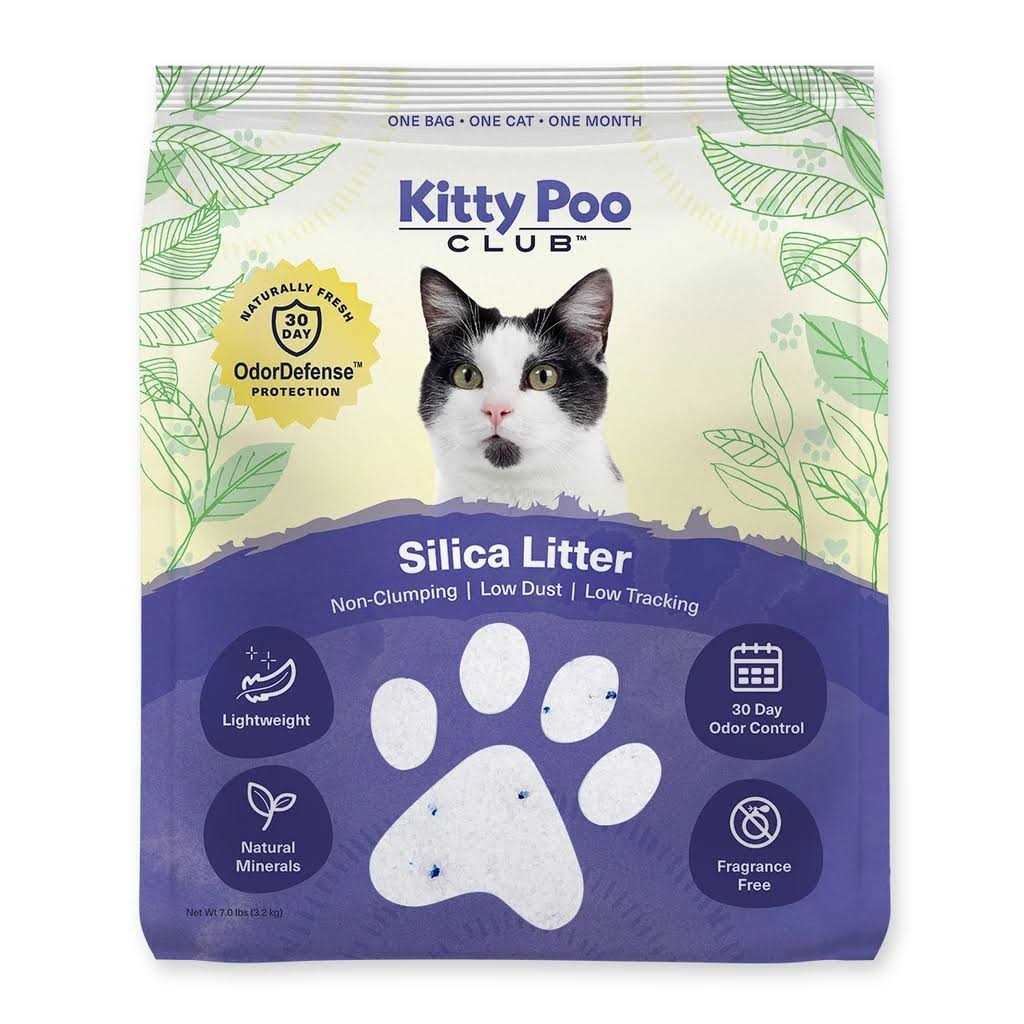 Silica Litter with Disposable Cat Litter Box - Healthber