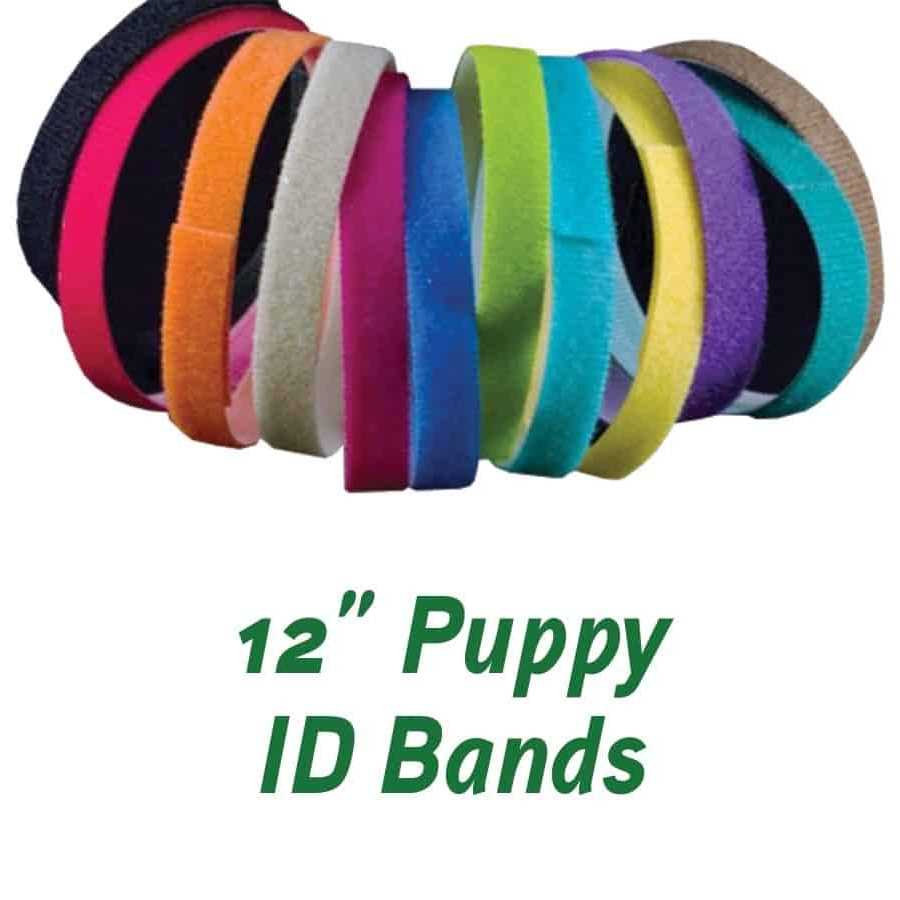 Puppies in Bloom Puppy ID Bands - Healthber