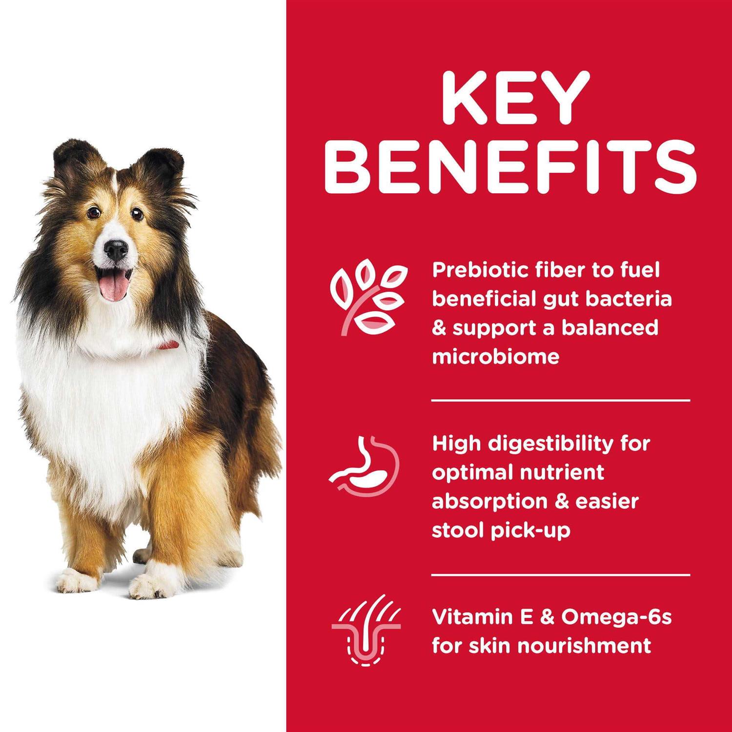 Hill’s Science Diet Adult Sensitive Stomach & Skin Dry Dog Food - Healthber
