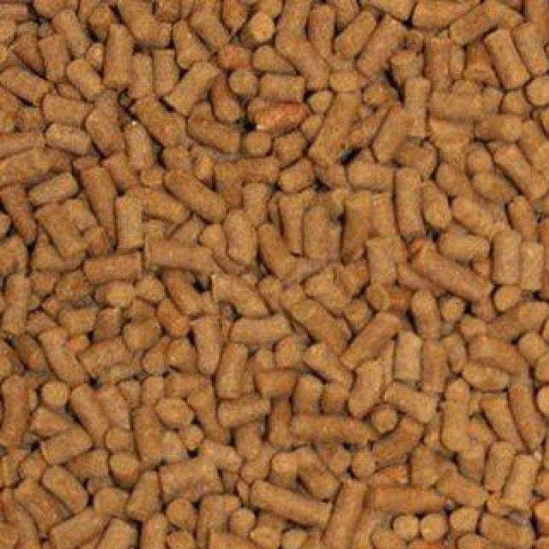 Omega One Shrimp Pellets Fish Food - Healthber