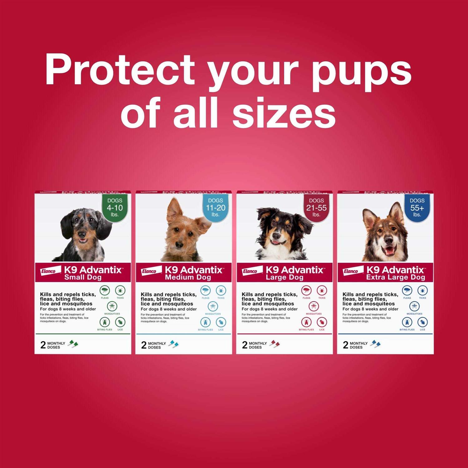 K9 Advantix Flea Tick & Mosquito Prevention for Small Dogs 4-10 lbs - Healthber