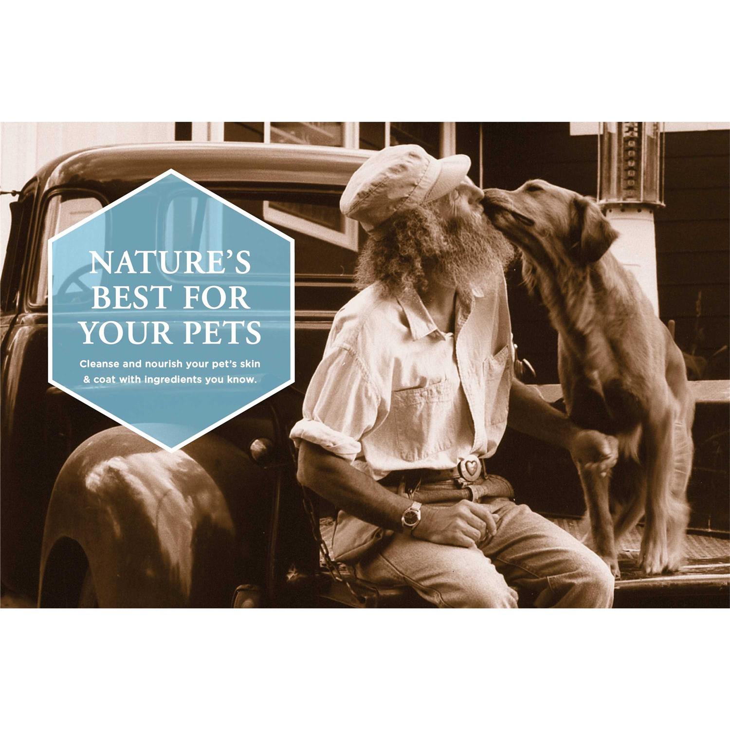 Burt’s Bees Oatmeal Dog Shampoo - Healthber