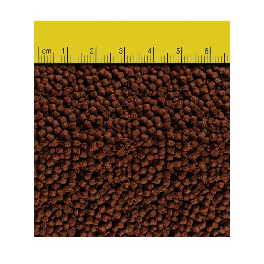 Reef Nutrition 3 oz Extra Small TDO-C1 Chroma Boost - Healthber
