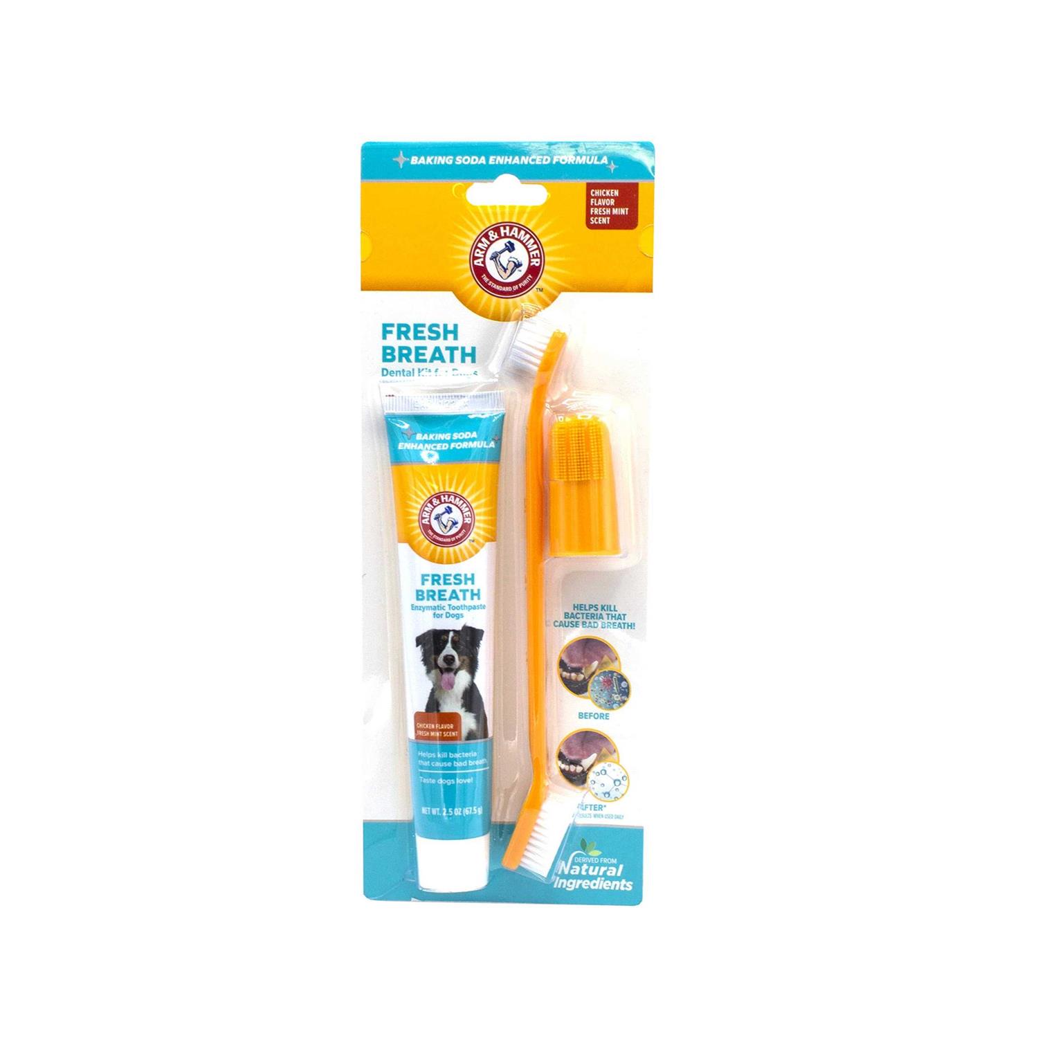 Arm & Hammer Fresh Breath Dental Kit for Dogs - Healthber
