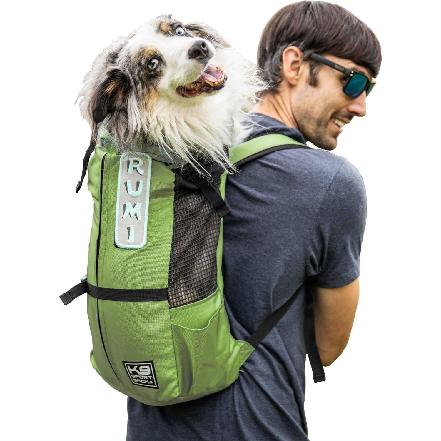 K9 Sport Sack Trainer - Healthber