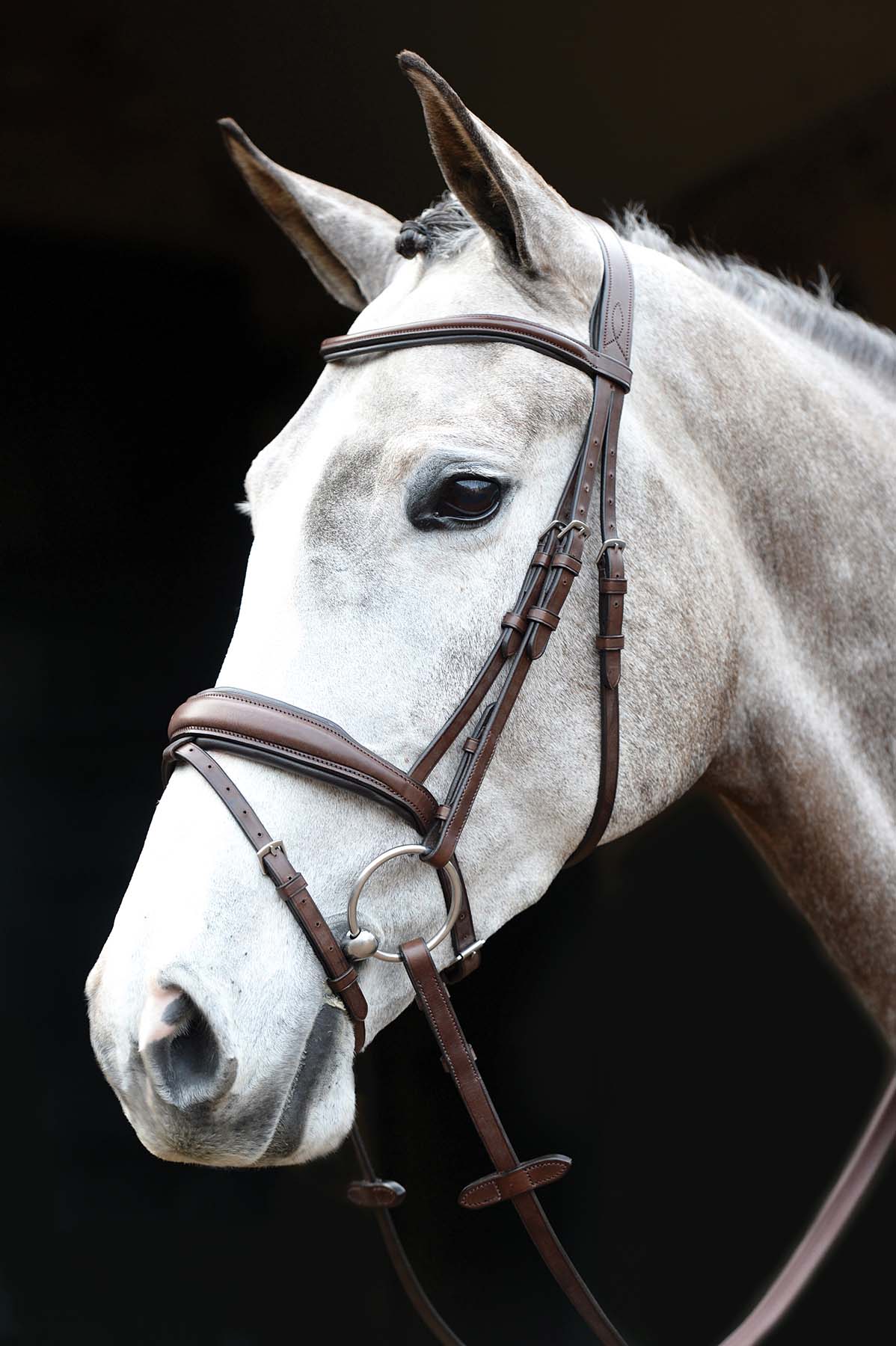 Collegiate Mono Crown Padded Raised Flash Bridle - Healthber