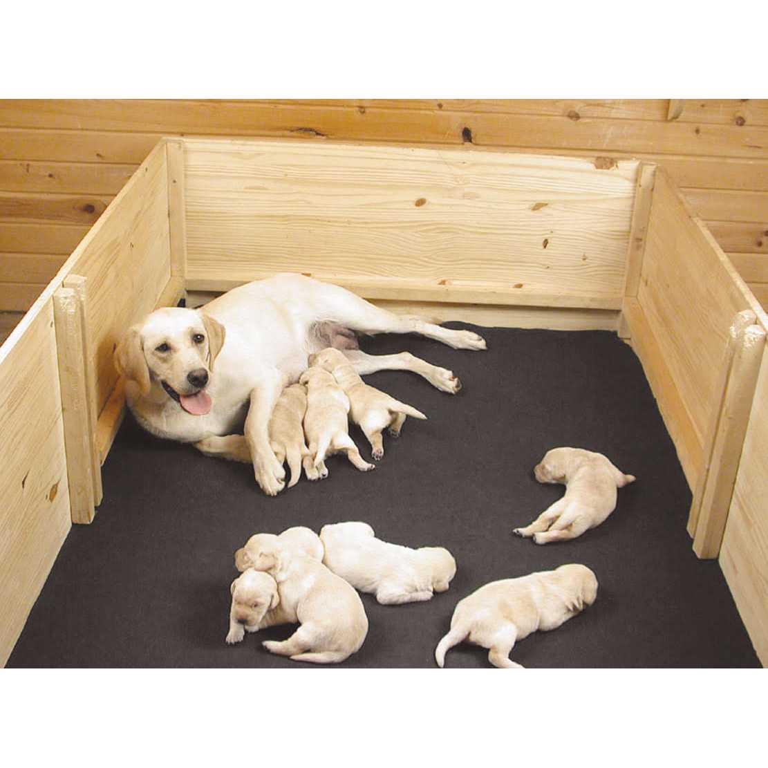 Drymate Whelping Box Liner Mat - Healthber