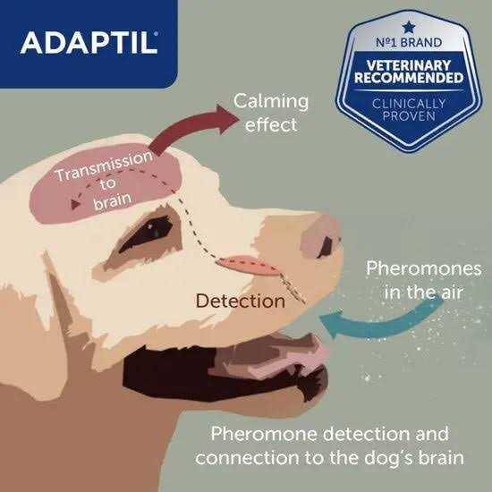 Adaptil 30 Day Starter Kit - Healthber