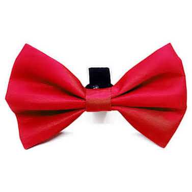 Joyride Harness Dog Collar + Removable Bow Tie - Healthber