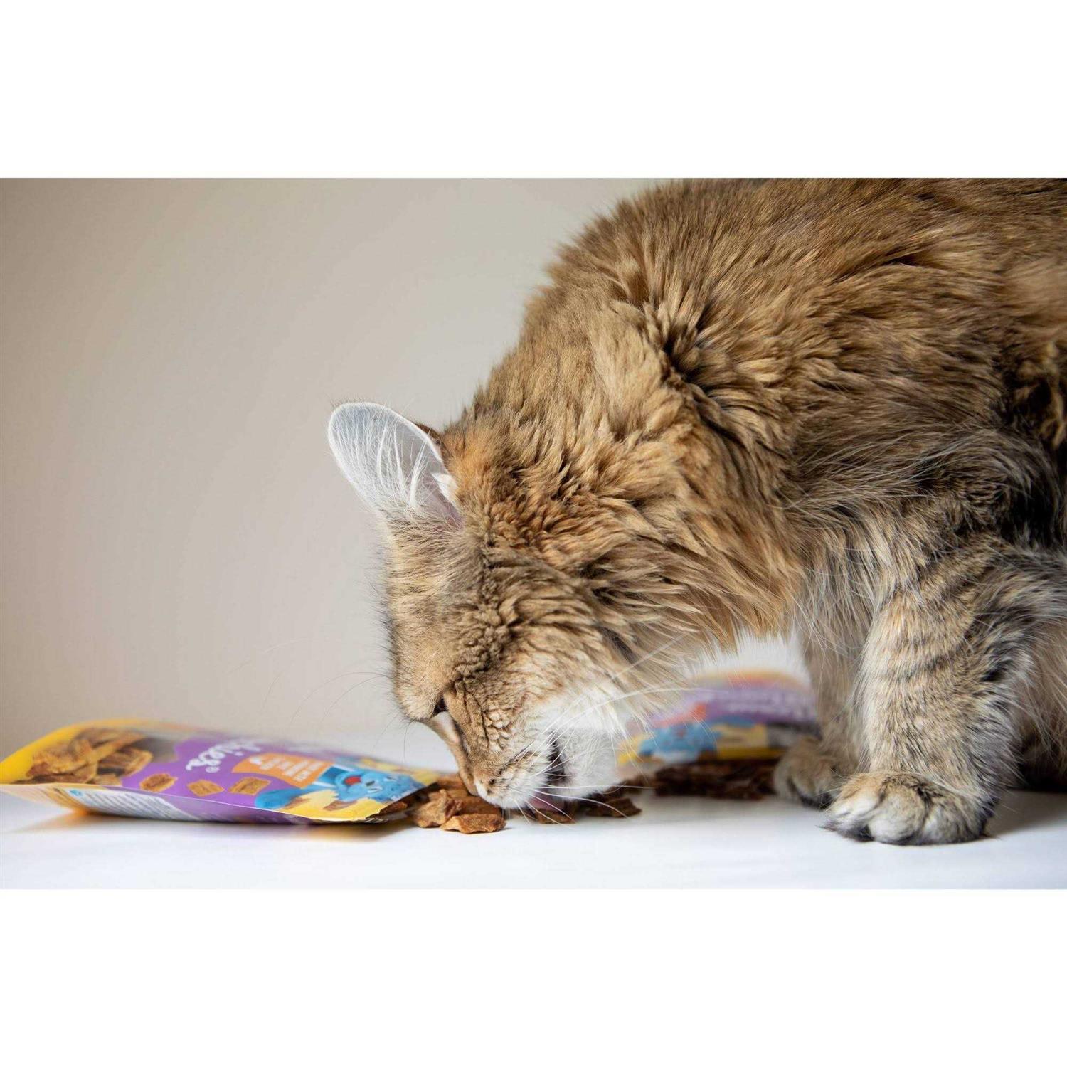 Blue Cat Bakery Meow Munchies Cats - Healthber