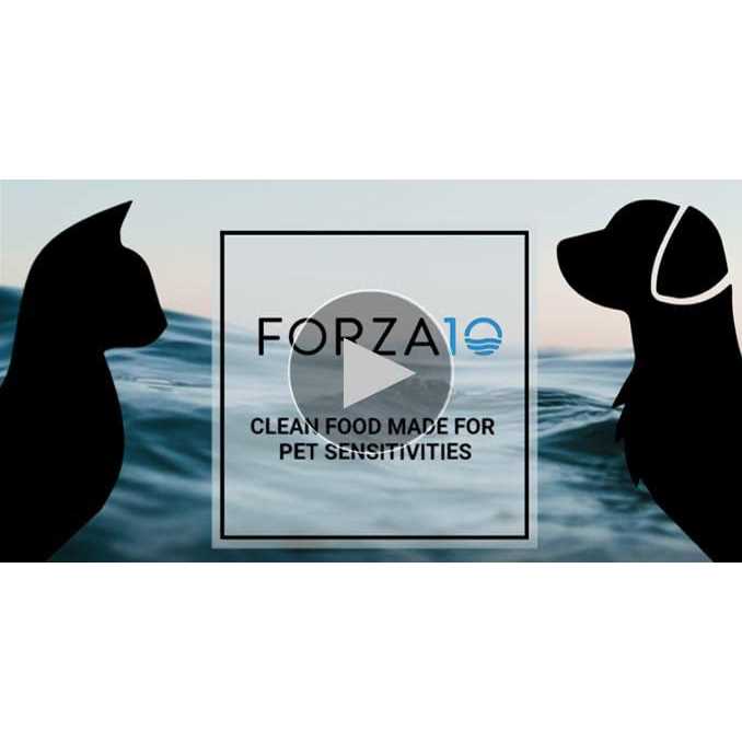 Forza10 Active Urinary Dry Cat Food - Healthber