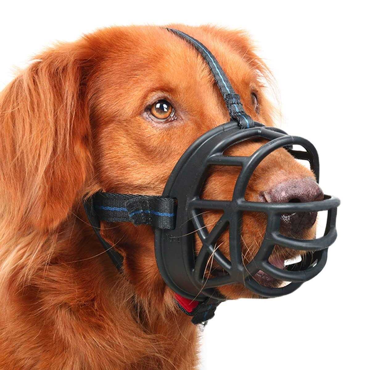 Mayerzon Dog Muzzle, Basket Breathable Silicone Dog Muzzle for Anti-Barking and Anti-Chewing - Healthber