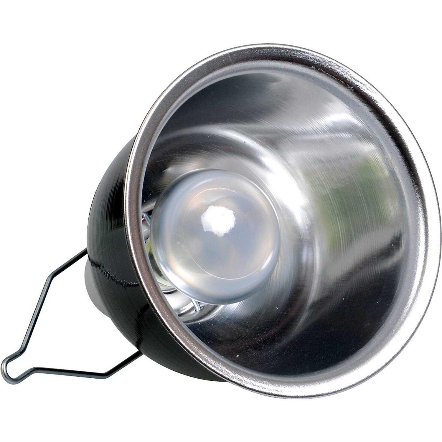 Zoo Med Desert Lighting Combo Pack - Healthber