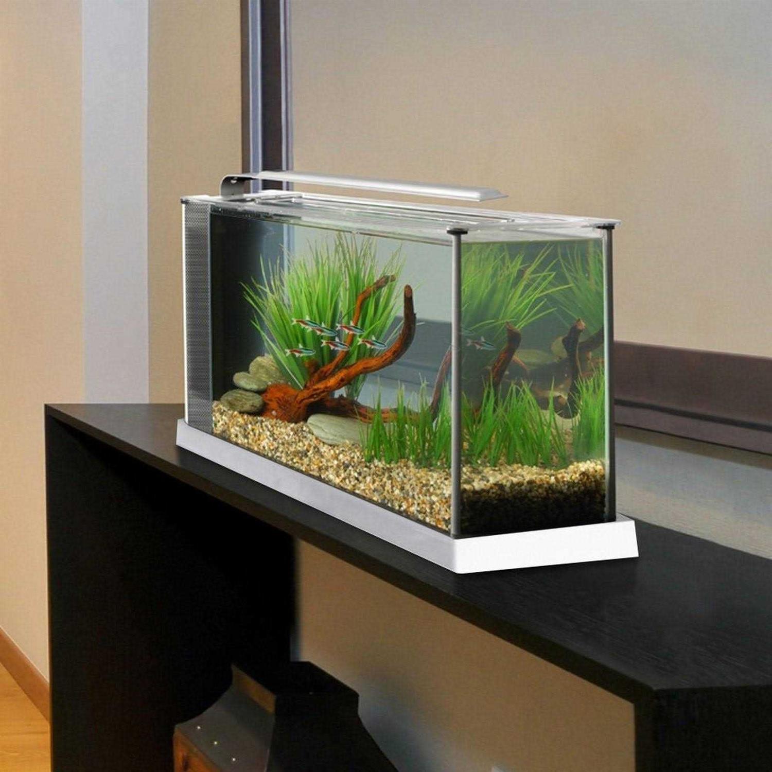 Fluval Spec V - Healthber