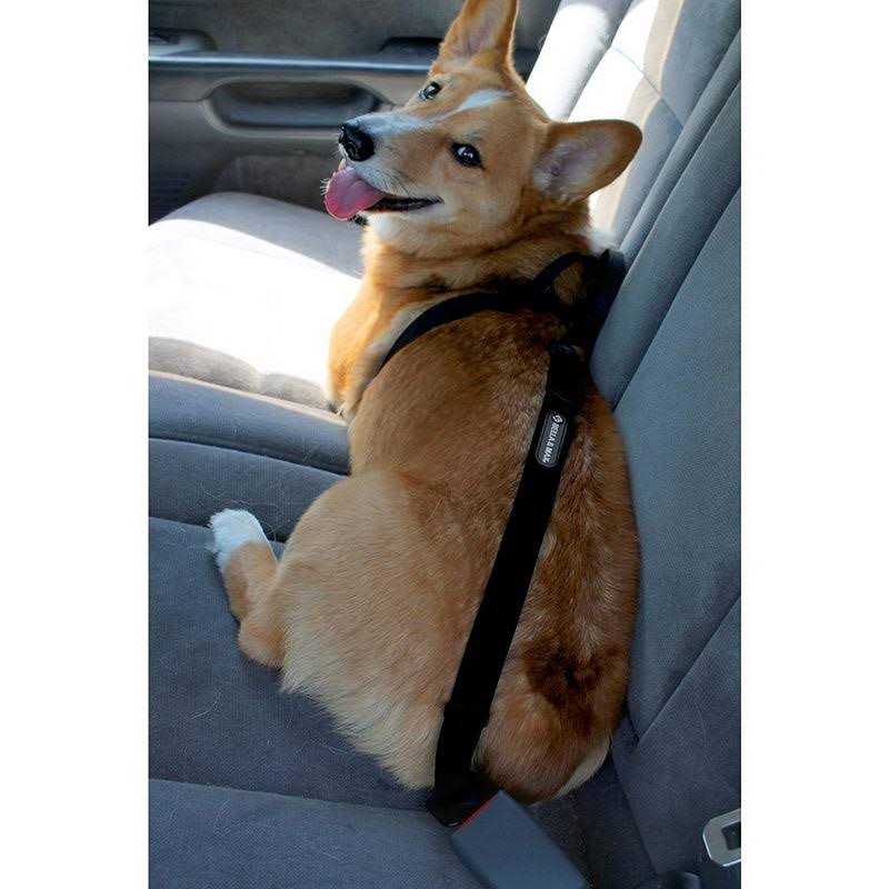 Bella & Max Pt-0114e Pet Seat Belt - Healthber