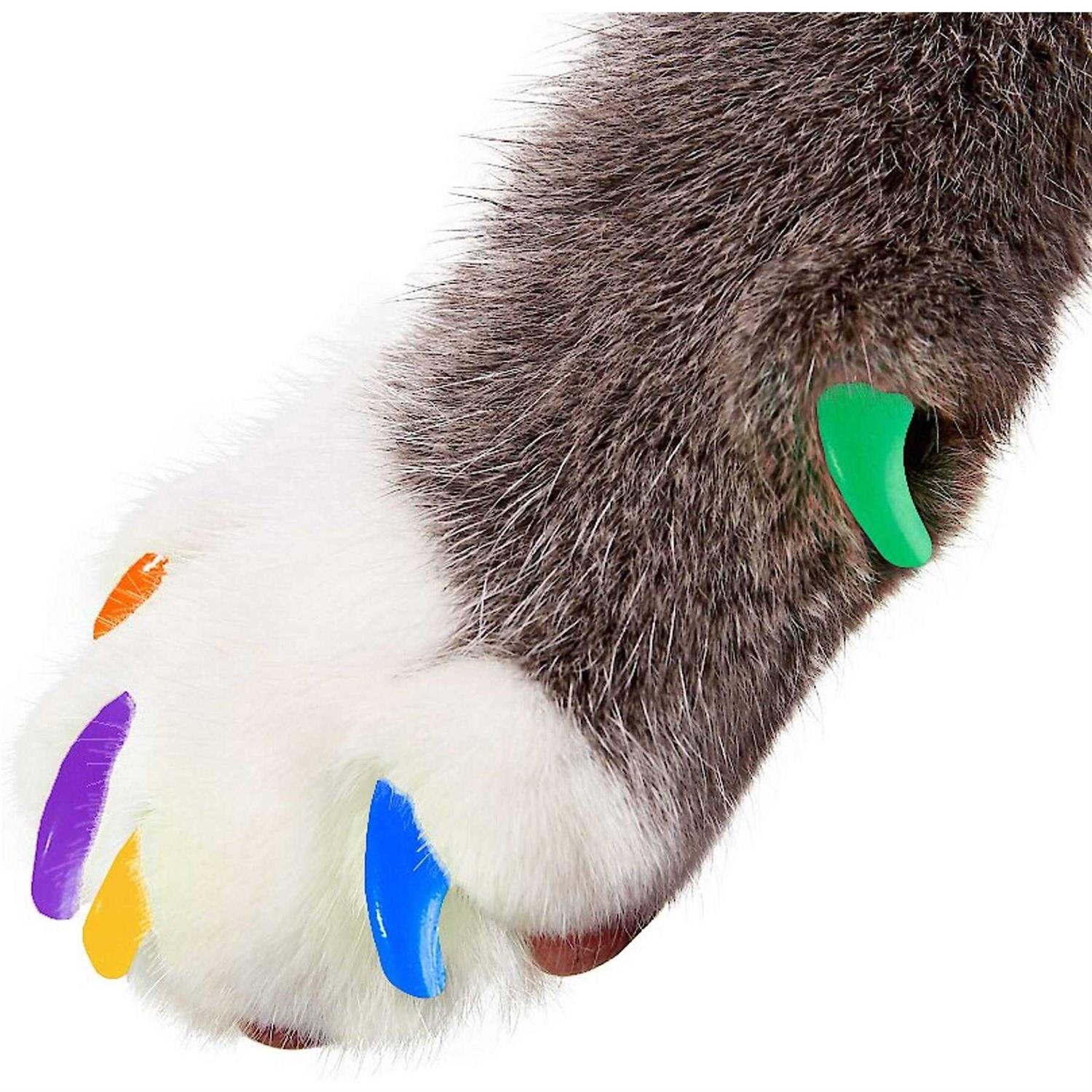 Purrdy Paws Soft Nail Caps for Cat Claws - Healthber