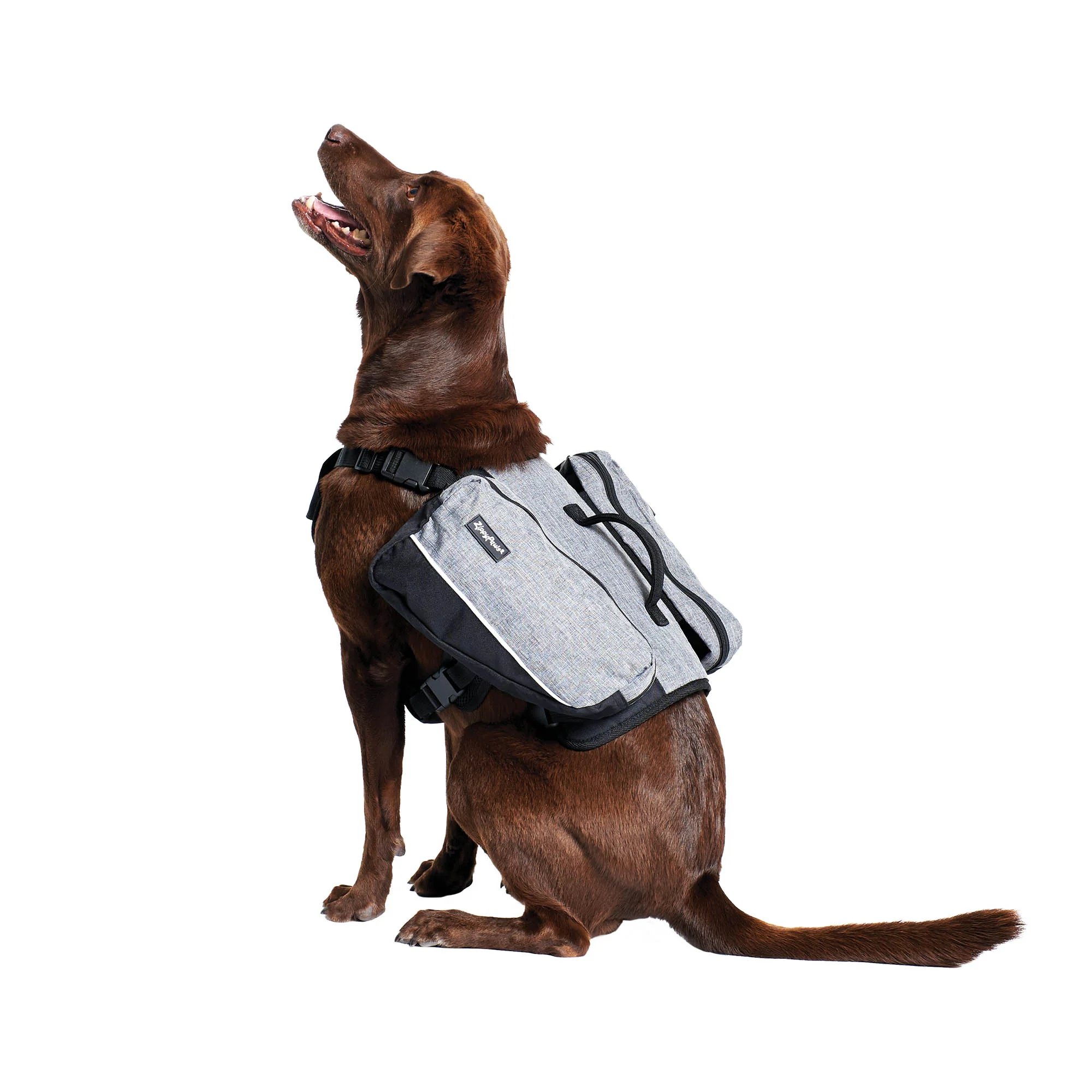 Zippy Paws Lightweight Adventure Backpack, Graphite - Healthber