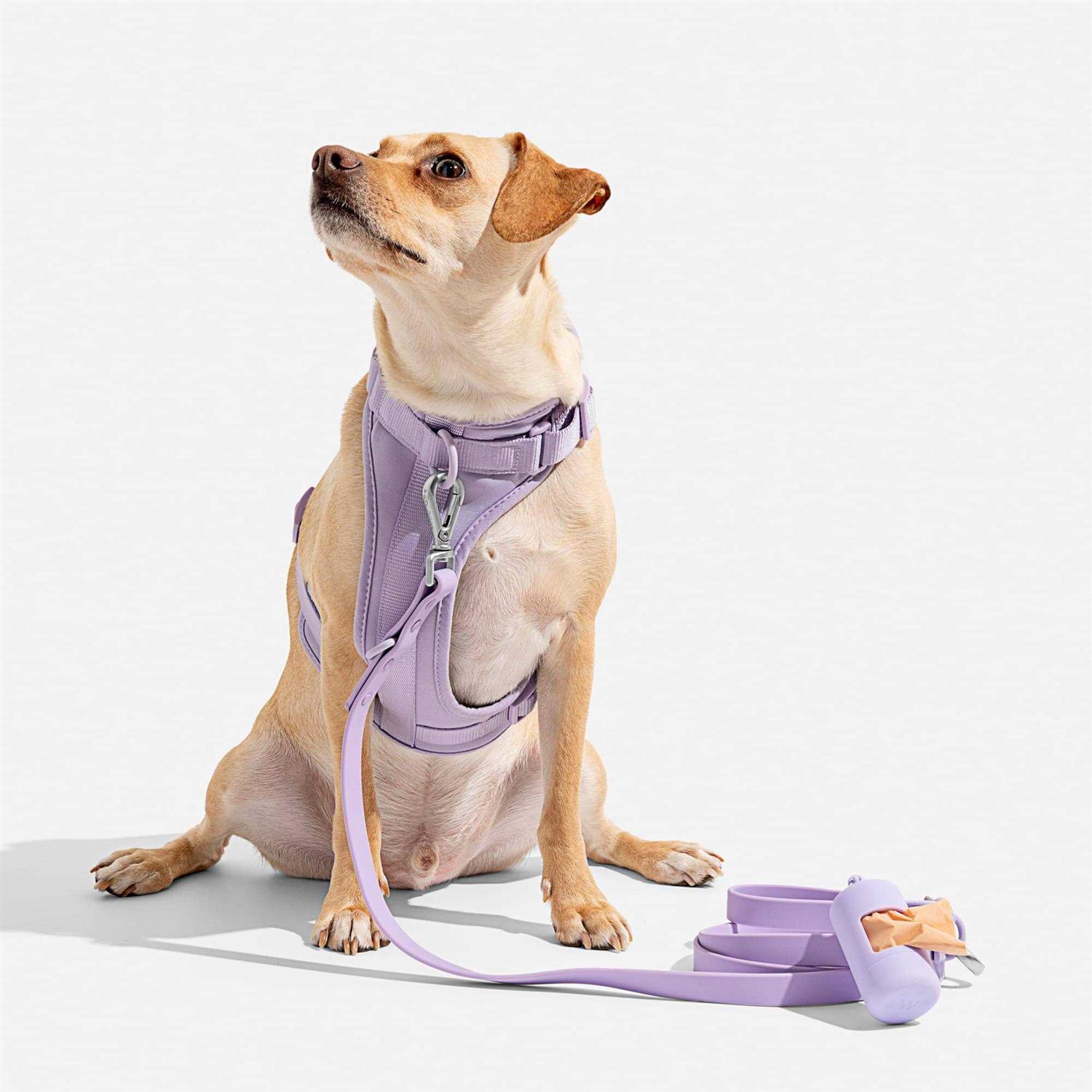 Wild One Dog Harness - Healthber