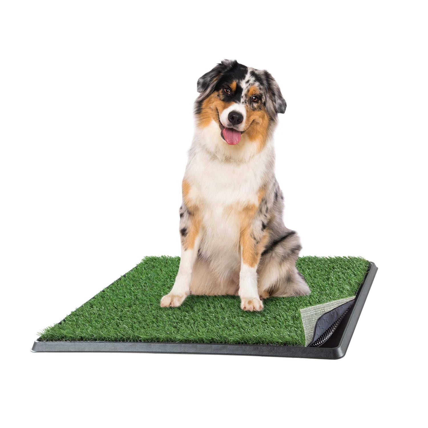 Petmaker Artificial Grass Puppy Dog Potty Pad with Tray - Healthber