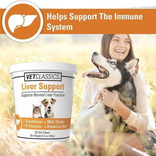 VetClassics Liver Support - Healthber