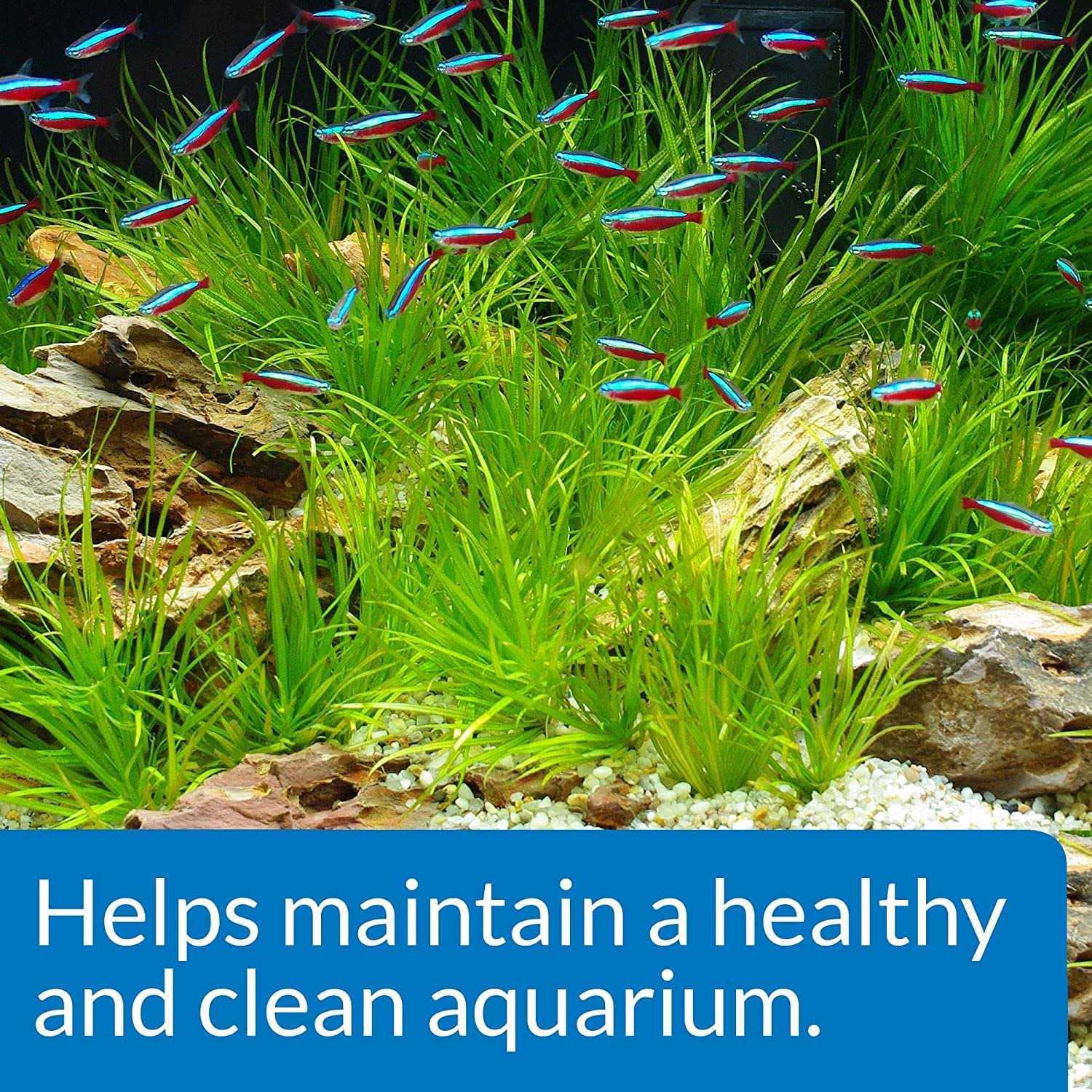 API Aquarium Start Up Pack - Healthber