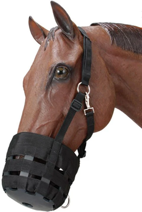 Nylon Horse Grazing Muzzle - Healthber