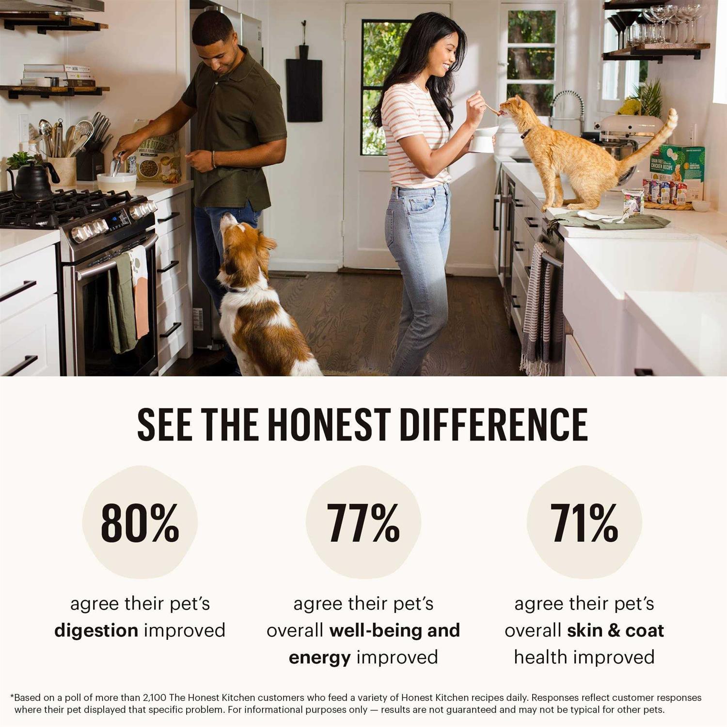 The Honest Kitchen Butcher Block Pate Dog Food 10.5 oz - Healthber