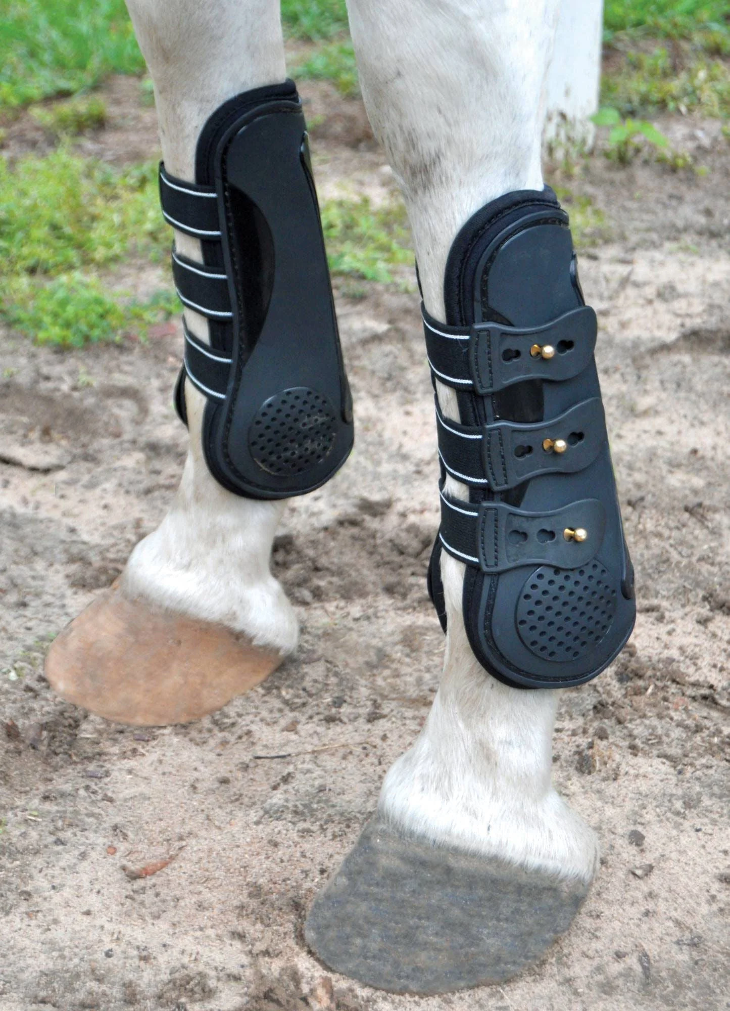 Uniquely English Horse Tendon Boots 2-Pack, Medium - Healthber
