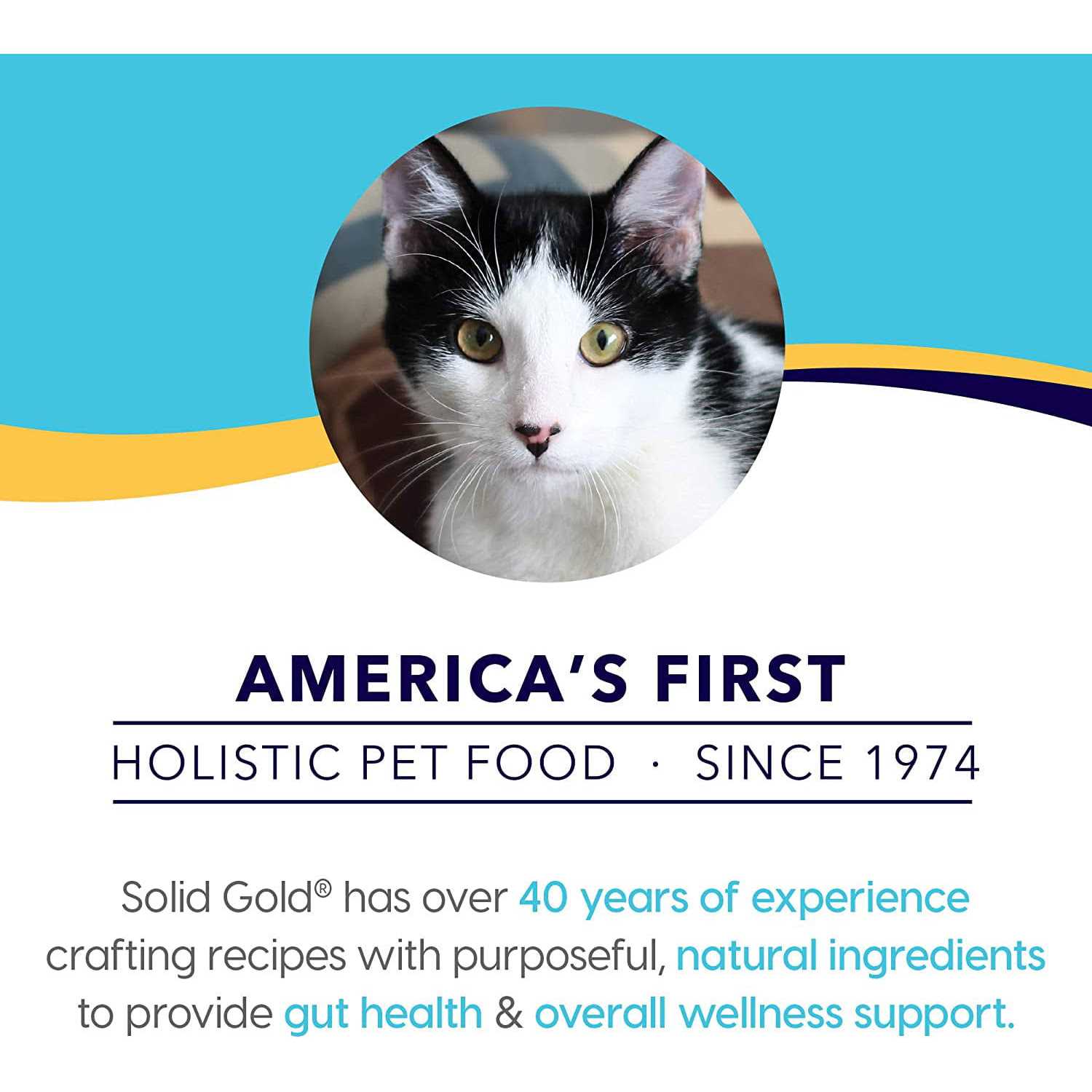 Solid Gold Triple Layer Pate Mousse & Shreds Pumpkin Cat Food - Healthber