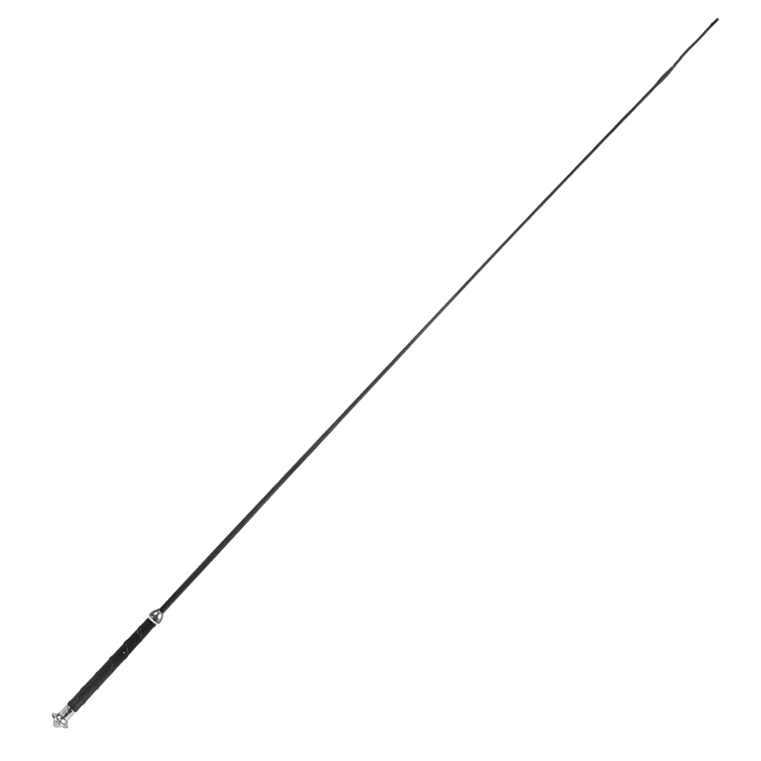 Dressage Whip, 40