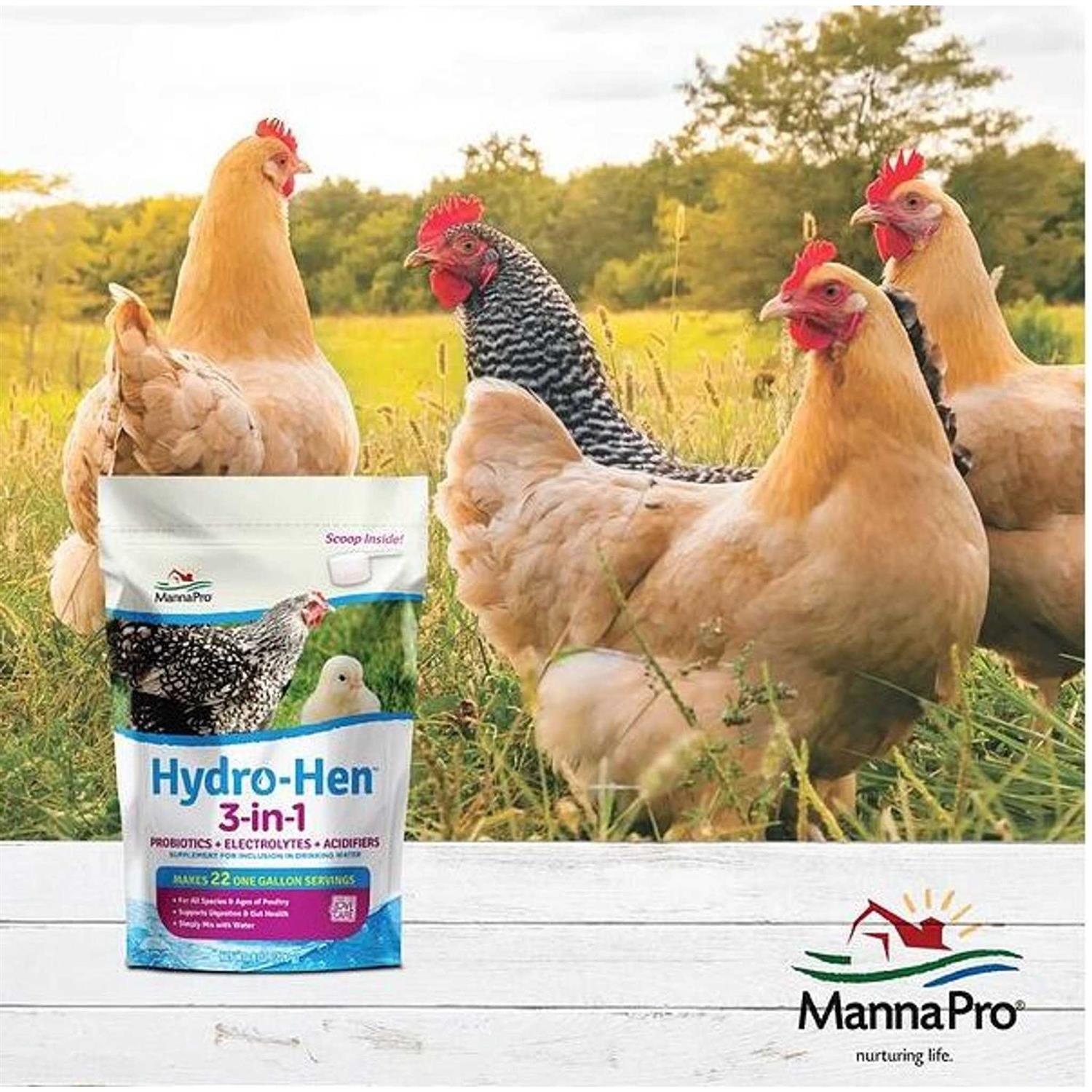 Manna Pro Hydro-Hen 3-in-1 Supplement - Healthber
