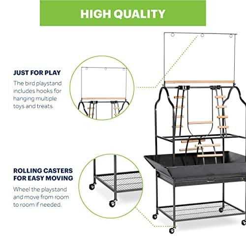 Prevue Pet Products Parrot Playstand - Healthber