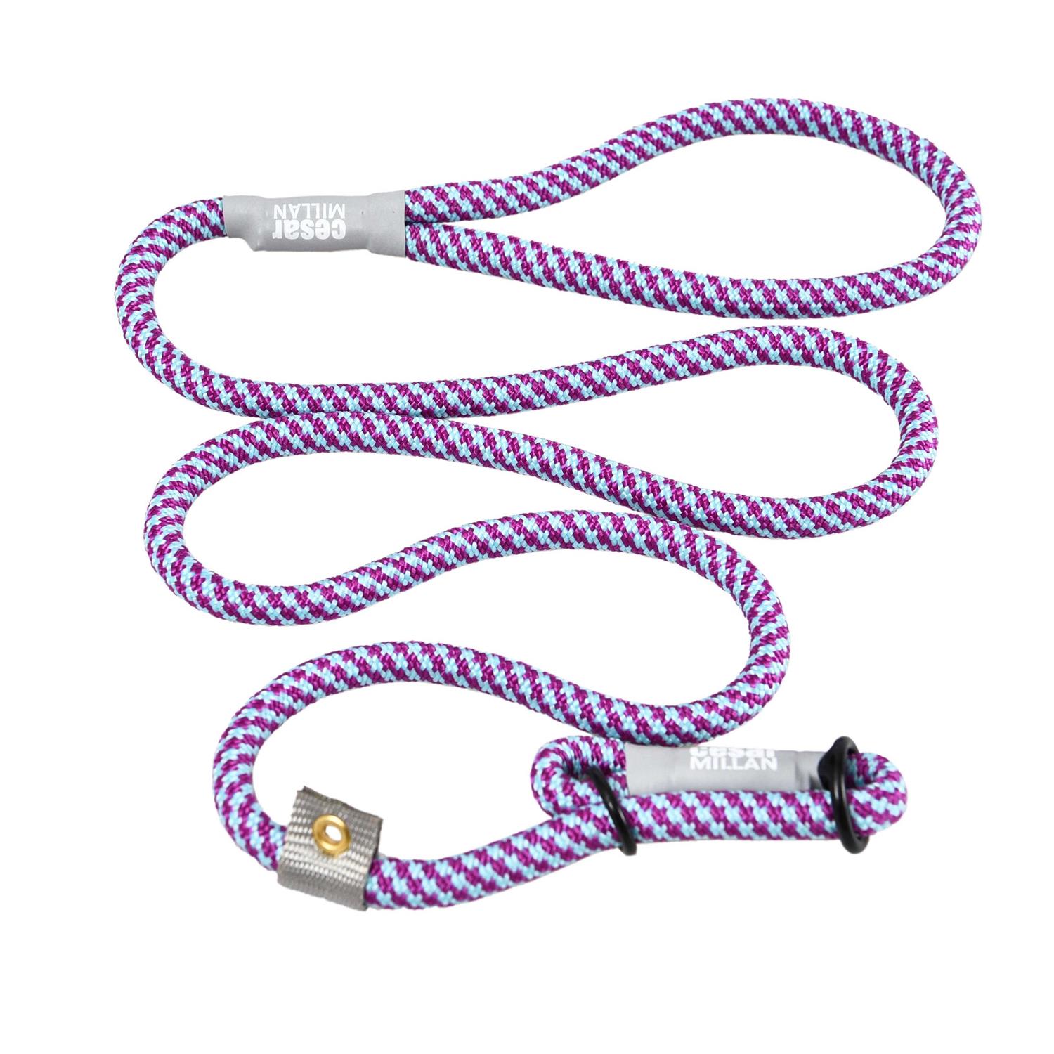 Cesar Millan Slip Lead Leash 2-in-1 Slip Collar Dog Training Lead & Collar - Healthber